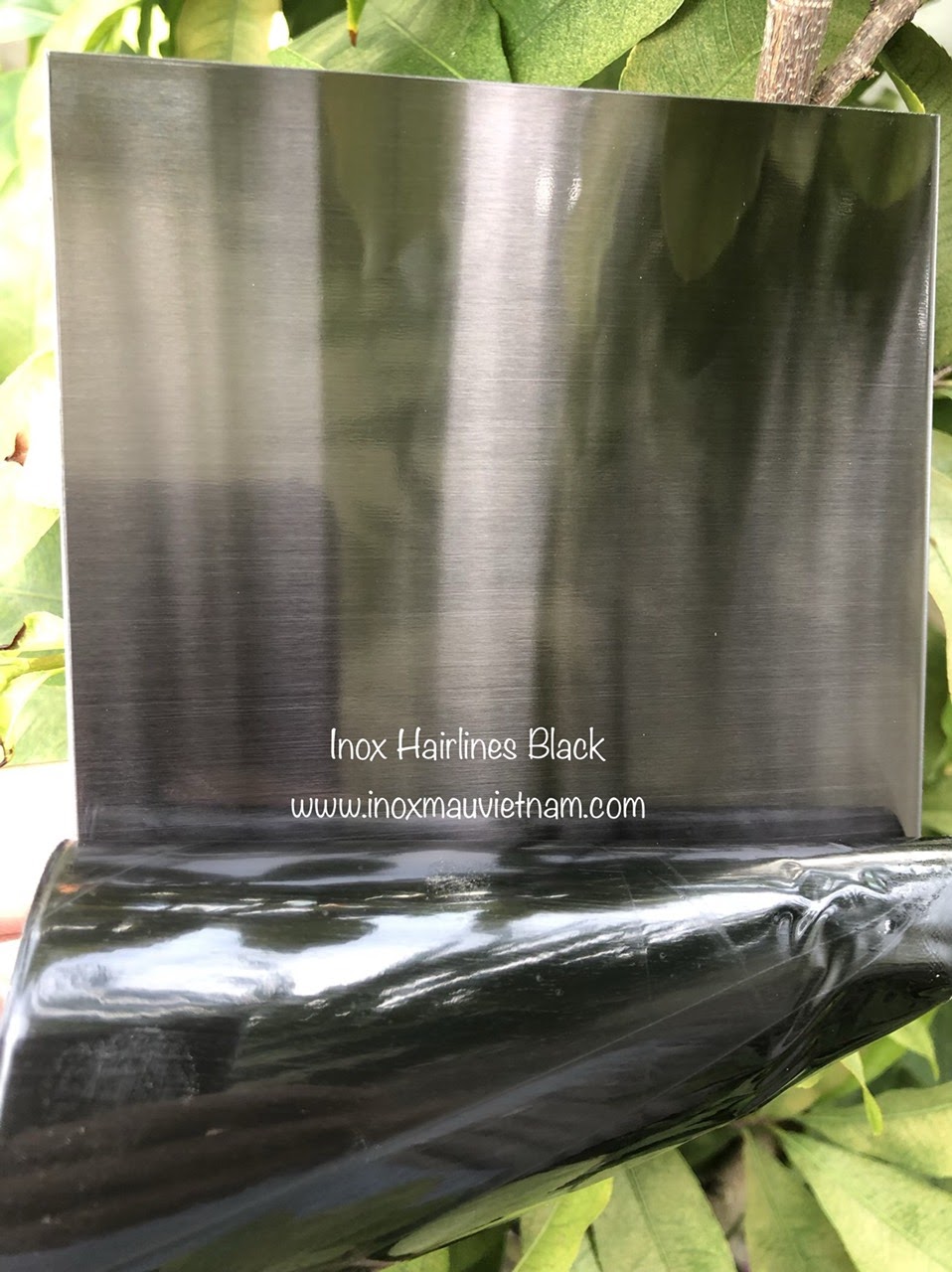 tam-inox-ban-o-dau tam-inox-ban-o-dau