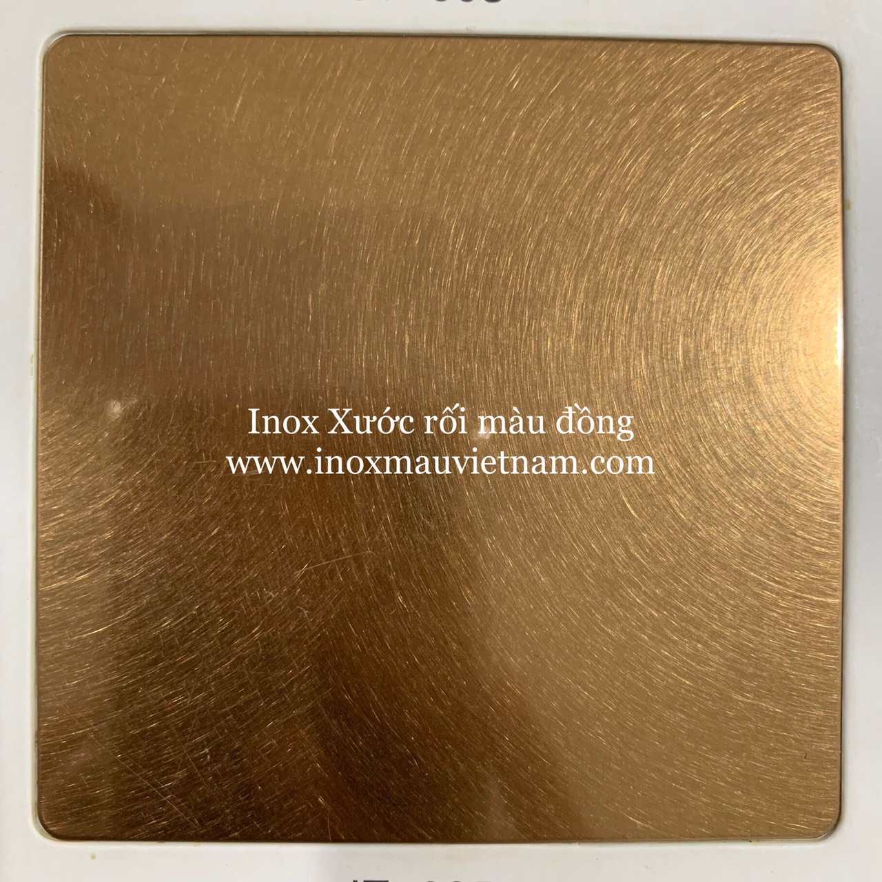 tấm inox màu đồng tấm inox màu đồng