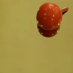 Inox vàng bóng - Mirror Gold Stainless steel