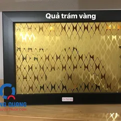 Inox hoa văn quả trám vàng
