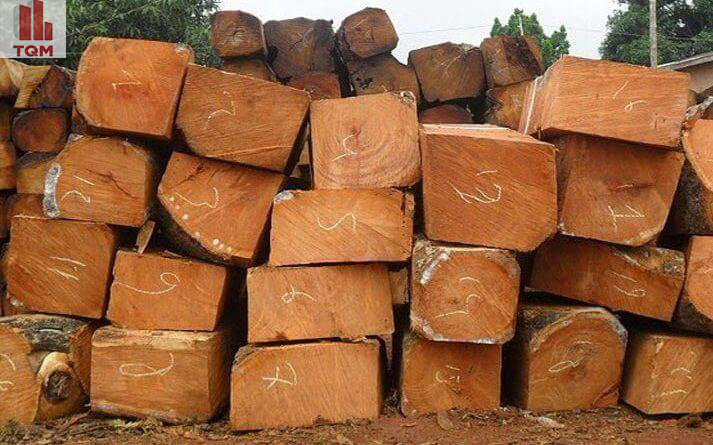 cach tinh met khoi go