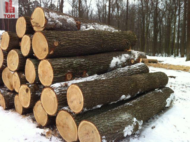 cach tinh met khoi go