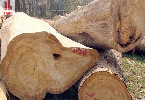 cach tinh met khoi go