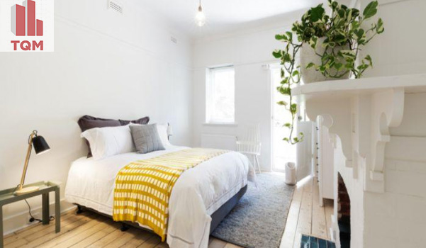 cay trong trong phong ngu