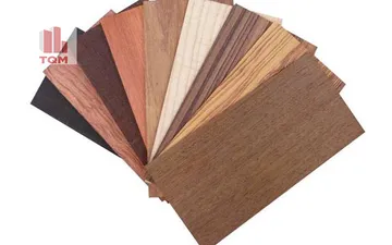 Gỗ hdf là gì? Tổng Hợp Kiến Thức Về Gỗ HDF Cho Ai Chưa Biết