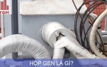 Hộp gen là gì? Cách chọn Kích Thước hộp Kỹ Thuật Nhà Vệ Sinh phù hợp nhất