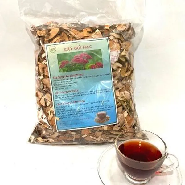 Cây gối hạc (1kg)