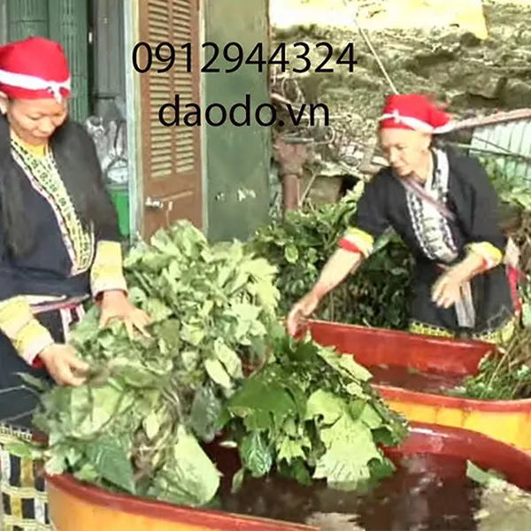5 lít nước tắm Dao Đỏ DaodoMen