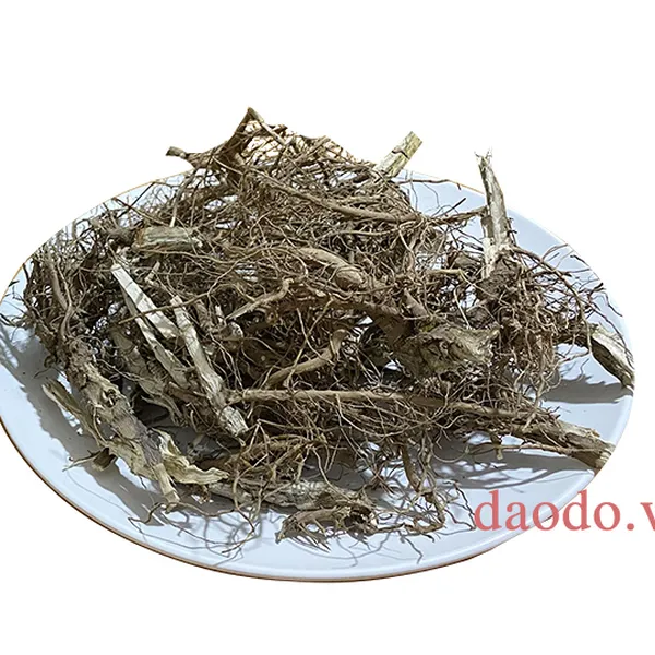Rễ bồ công anh (1 kg)