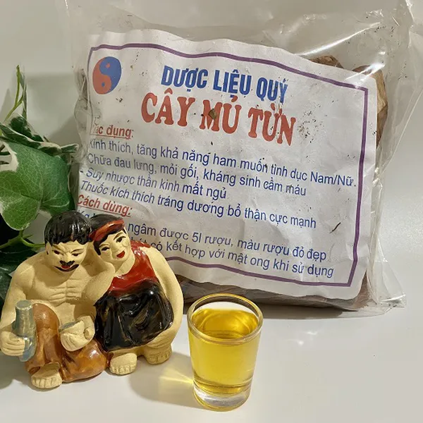 Cây mú từn (1 kg) trị yếu sinh lý