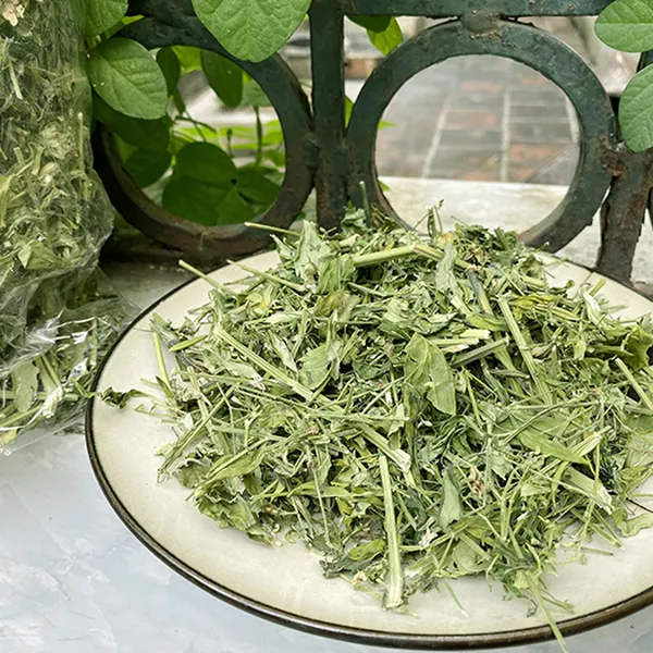 Xuyên tâm liên giúp điều trị bệnh Covid 19 khi mới khởi phát