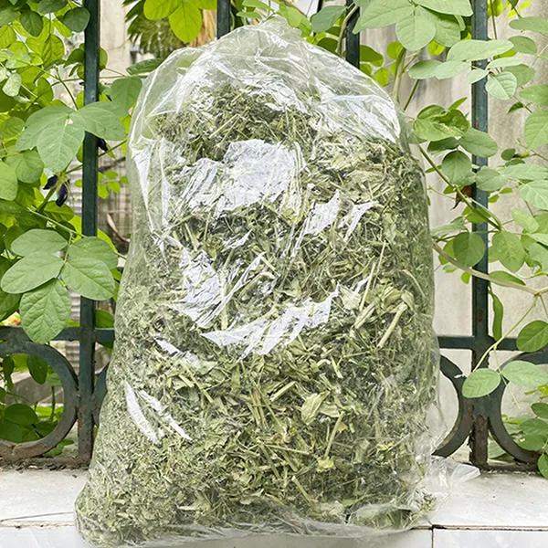 Xuyên tâm liên giúp điều trị bệnh Covid 19 khi mới khởi phát