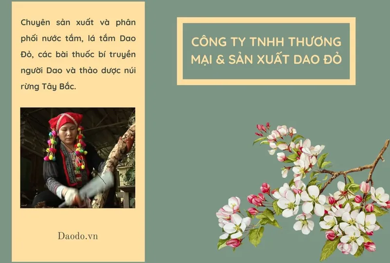 Giới thiệu Công ty TNHH Thương mại & Sản xuất Dao Đỏ