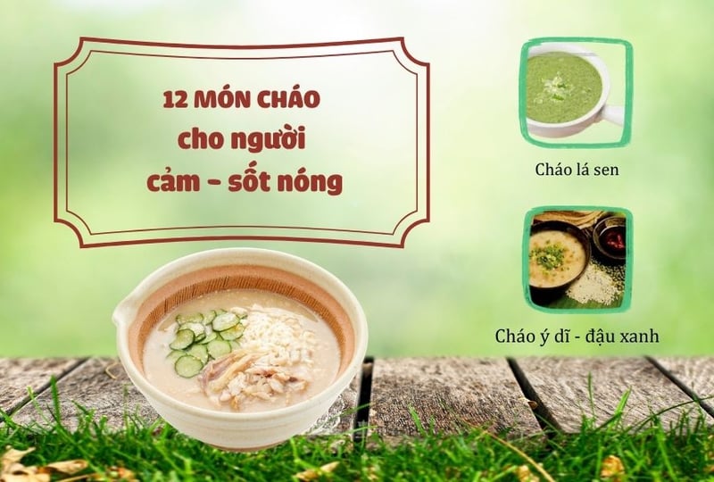 Những món cháo thuốc cho người cảm - sốt nóng