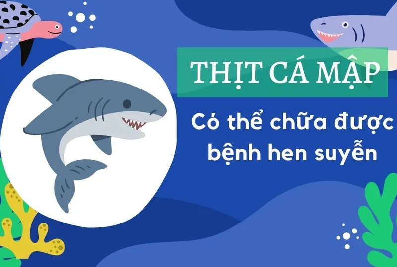 Thịt cá mập có thể chữa bệnh hen suyễn