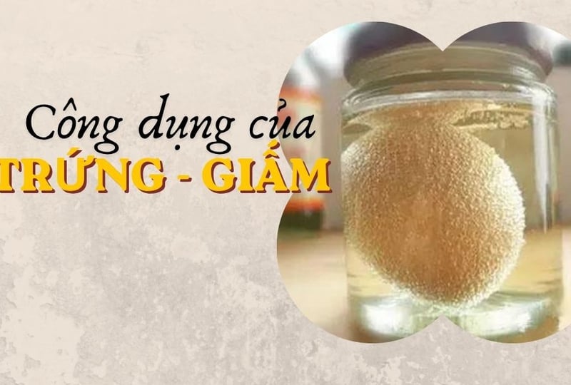 Công dụng của trứng gà và giấm