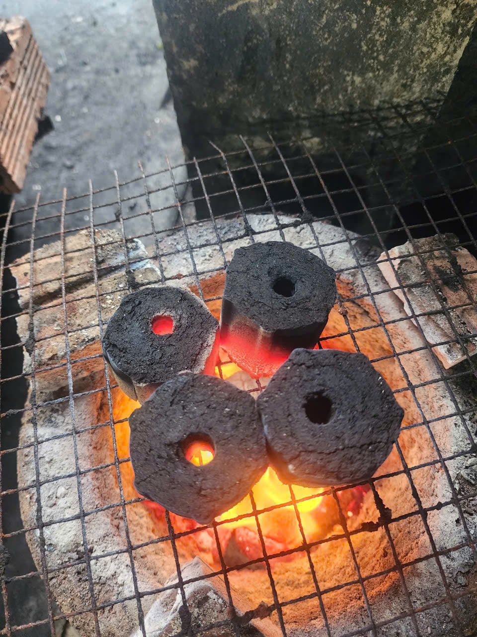 than gáo dừa thiên nhiên