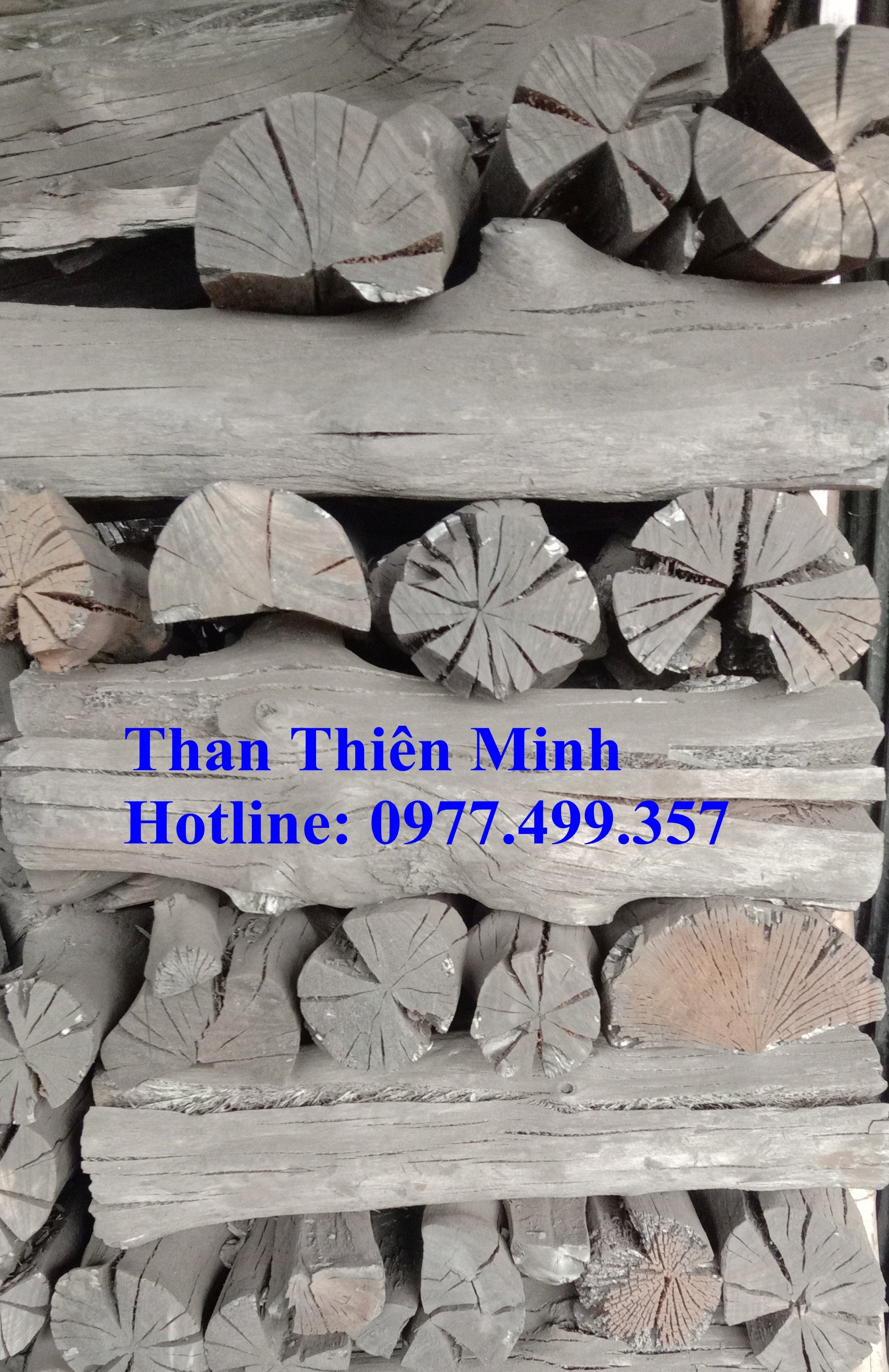 Hàng hóa than đước được đóng gói cẩn thận, sẵn sàng xuất khẩu.