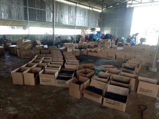 xưởng than mùn cưa xưởng than mùn cưa