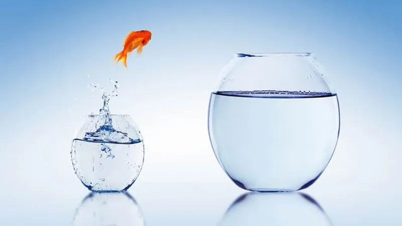 Bật mí kinh nghiệm Tư vấn ISO 9001 (kỳ 92)