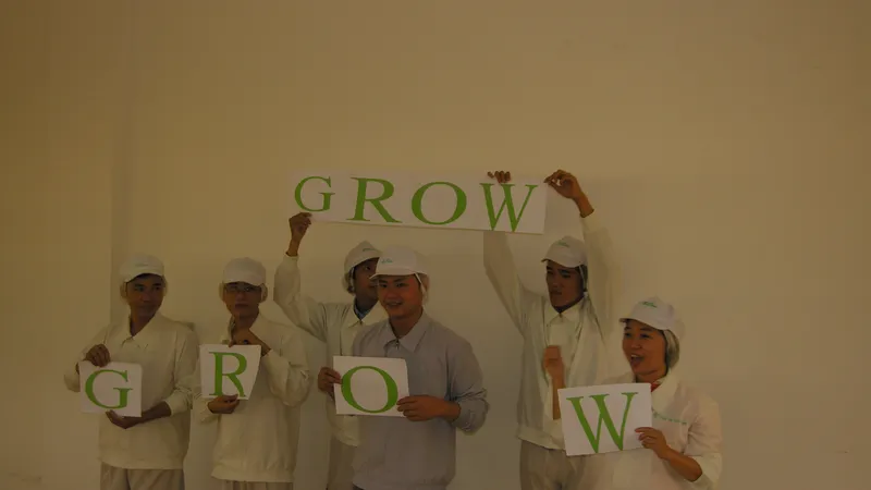 Làm sao Tư vấn 5S thành công ở Công ty Việt Nam?