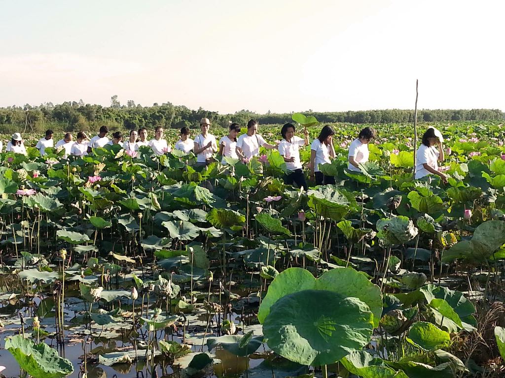 Cuộc sống là sự lựa chọn Cuộc sống là sự lựa chọn