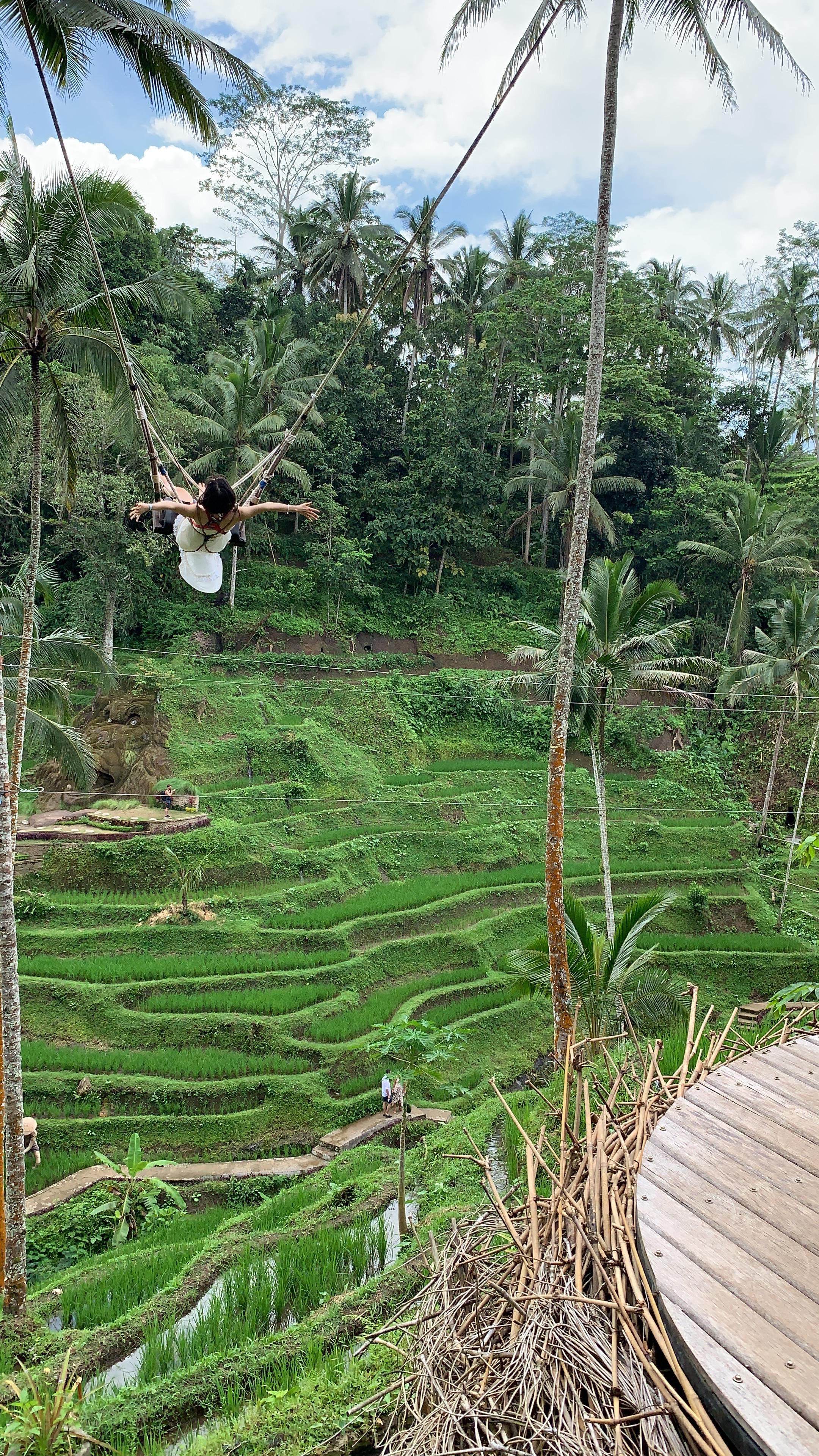 Swing ruộng bật thang