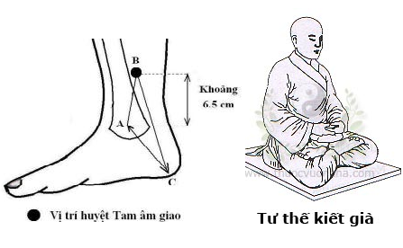 Cách ngồi kiết già - Huyệt tâm Giao