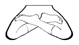 Các tư thế ngồi thiền