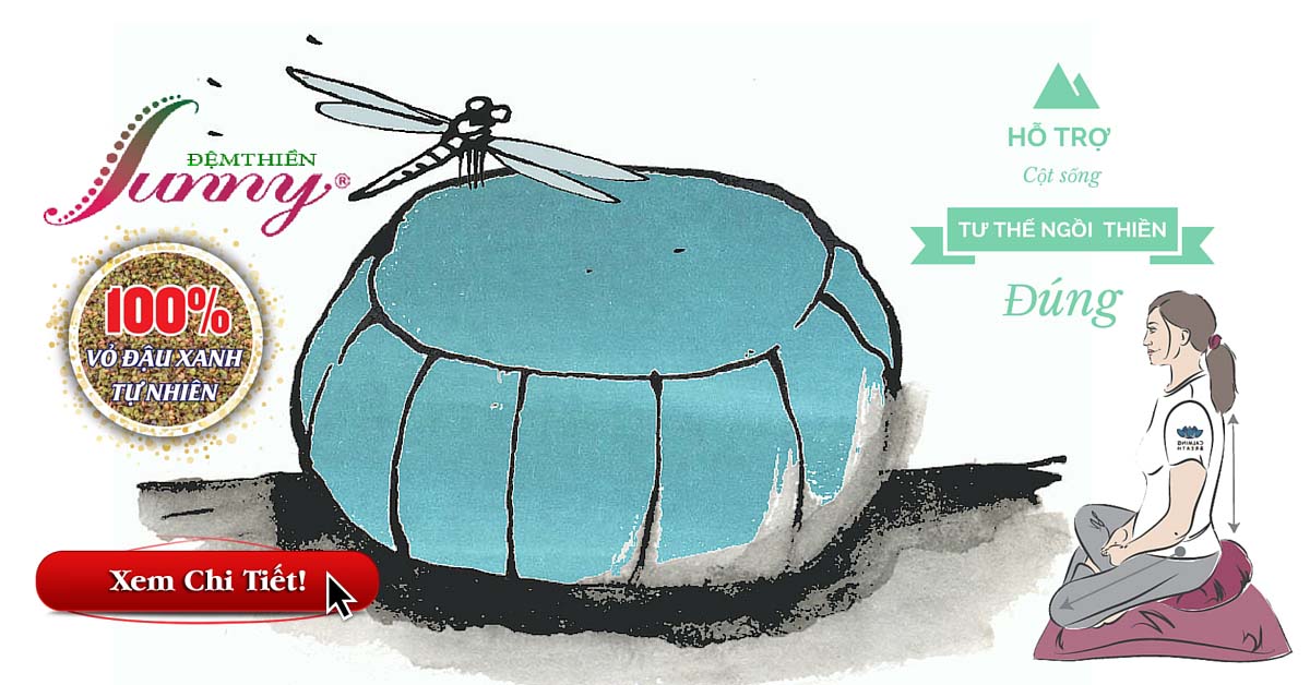 đệm ngồi vỏ đậu Sunny