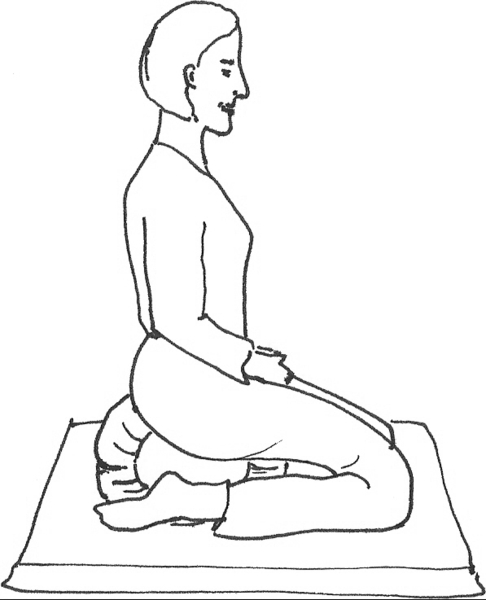 Tư thế ngồi SEiZA