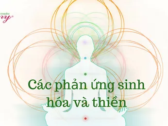 Các phản ứng sinh học và thiền