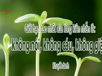 Trưởng dưỡng hạnh kiên nhẫn