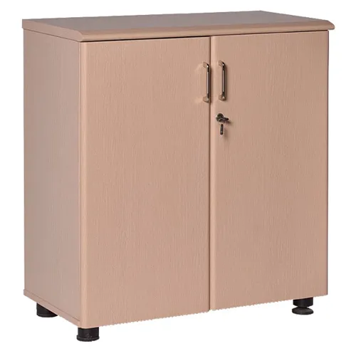 Tủ Gỗ Thấp 2 Cánh NT880D
