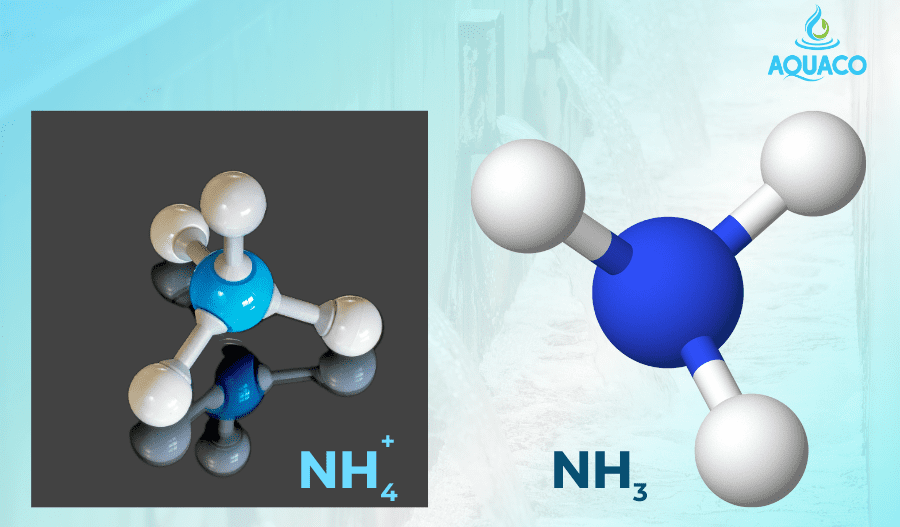 cac dang ton tai cua amoni trong nuoc 1 cac dang ton tai cua amoni trong nuoc 1