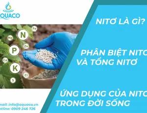 Nitơ là gì? Phân biệt Nitơ và Tổng Nitơ. Ứng dụng của Nitơ trong đời sống