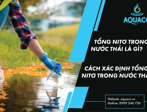 Tổng Nitơ trong nước thải là gì? Cách xác định tổng nitơ trong nước thải.