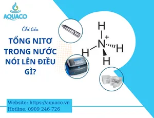 Chỉ tiêu tổng Nitơ trong nước nói lên điều gì?