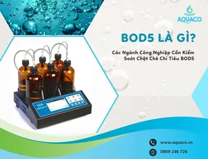 BOD5 là gì? Các Ngành Công Nghiệp Cần Kiểm Soát Chặt Chẽ Chỉ Tiêu BOD5