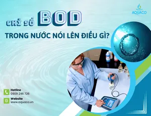 Chỉ số BOD trong nước nói lên điều gì?