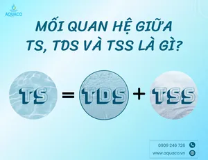 Mối quan hệ giữa TS, TDS và TSS là gì?