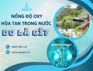Nồng độ Oxy hòa tan trong nước (DO) là gì?