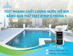 Test nhanh chất lượng nước hồ bơi bằng que thử test strip 5 trong 1