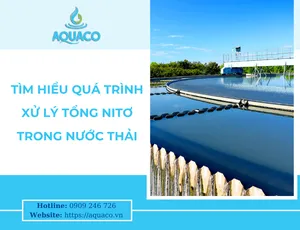 Tìm hiểu quá trình xử lý tổng Nitơ trong nước thải