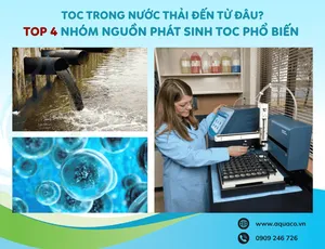 TOC trong nước thải đến từ đâu? Top 4 nhóm nguồn phát sinh TOC phổ biến