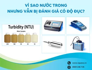 Vì sao nước trong nhưng vẫn bị đánh giá có độ đục?