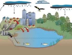 Quan trắc nước mặt có những quy định như thế nào?