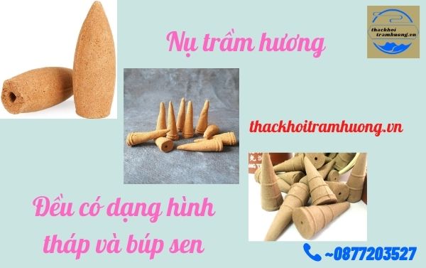 nụ trầm hương hình tháp nụ trầm hương hình tháp