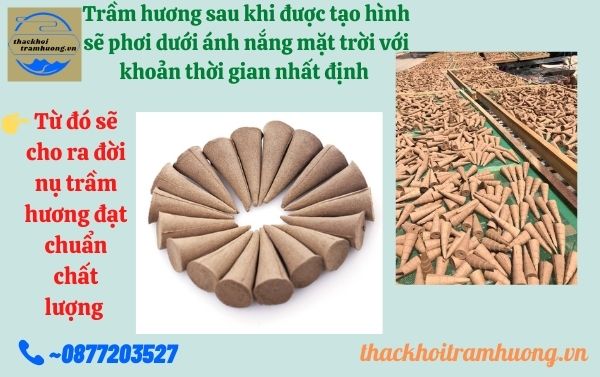 nụ trầm hương cao cấp nụ trầm hương cao cấp