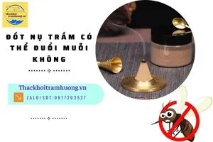 Đốt nụ trầm có thể đuổi muỗi không